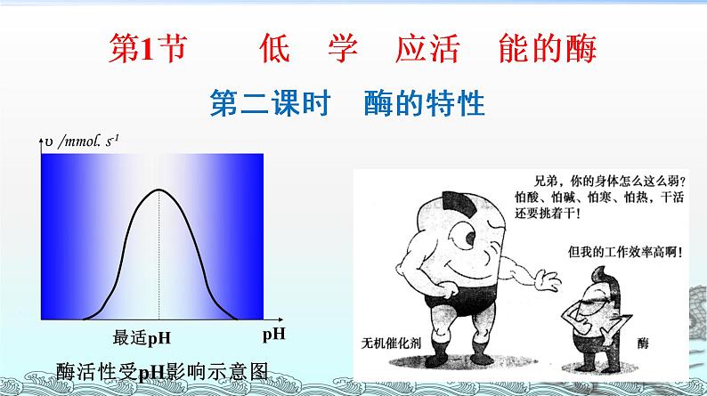 高中生物人教版 (新课标) 必修1课件  5.1降低化学反应活化能的酶（第二课时：酶的特性）01