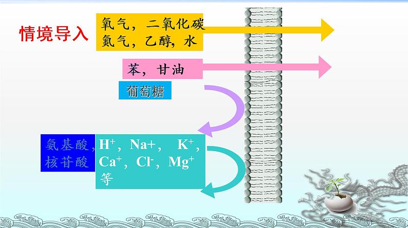 高中生物人教版 (新课标) 必修1课件  4.3 物质跨膜运输的方式第3页