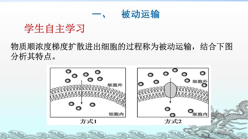 高中生物人教版 (新课标) 必修1课件  4.3 物质跨膜运输的方式第5页