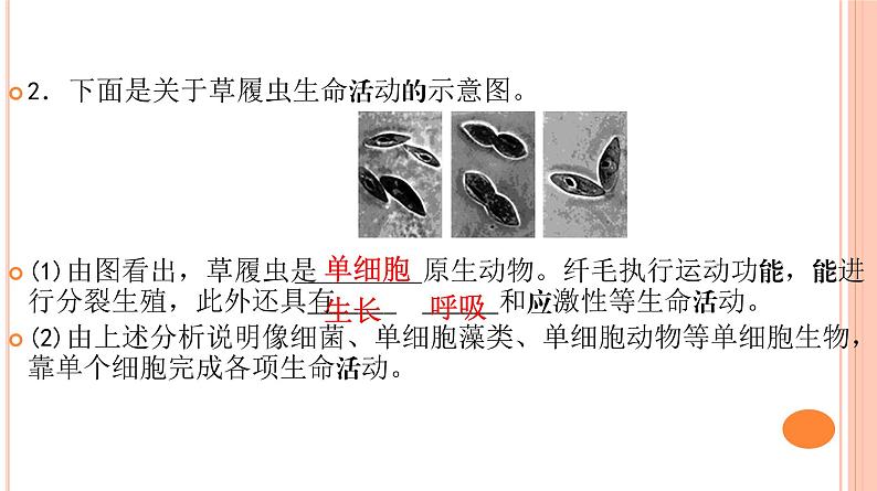 高中生物人教版 (新课标) 必修1课件  人教版必修一 1.1从生物圈到细胞05