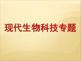 （高考）1.2 基因工程的基本操作程序 (共47张PPT)
