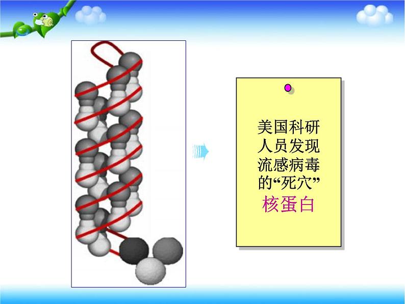 人教版高中生物选修3专题1基因工程1.4蛋白质工程的崛起上课课件03