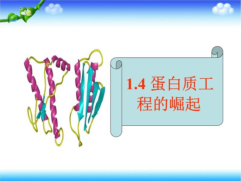 人教版高中生物选修3专题1基因工程1.4蛋白质工程的崛起上课课件04