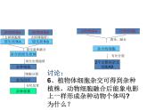 2.2.2动物细胞的融合与单克隆抗体课件（共69张PPT）