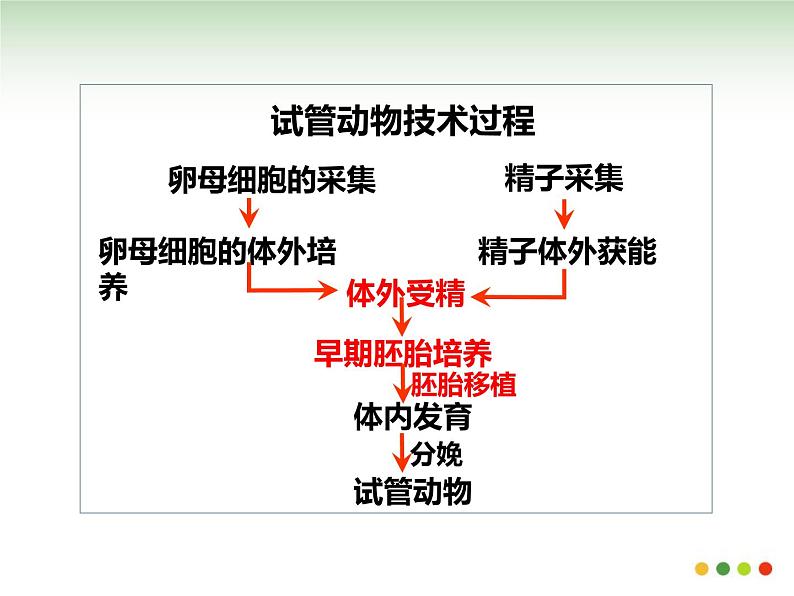 3.2体外受精和早期胚胎培养(共36张PPT）04