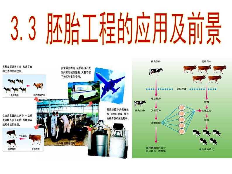 选修三3.3胚胎工程的应用及前景（共46张PPT）01