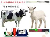 选修三3.3胚胎工程的应用及前景（共46张PPT）