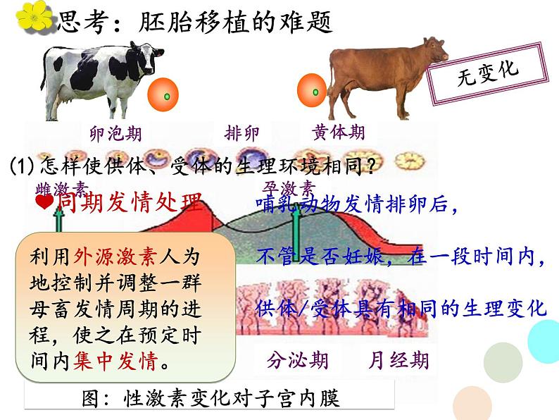 选修三3.3胚胎工程的应用及前景（共46张PPT）07