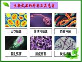 选修三4.3禁止生物武器（共15张PPT）