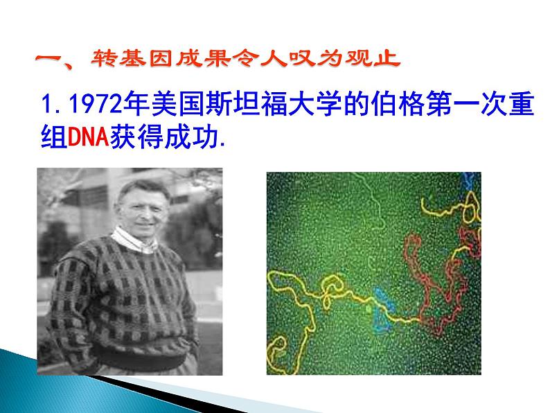 选修三4.1转基因生物的安全性（共19张PPT）02