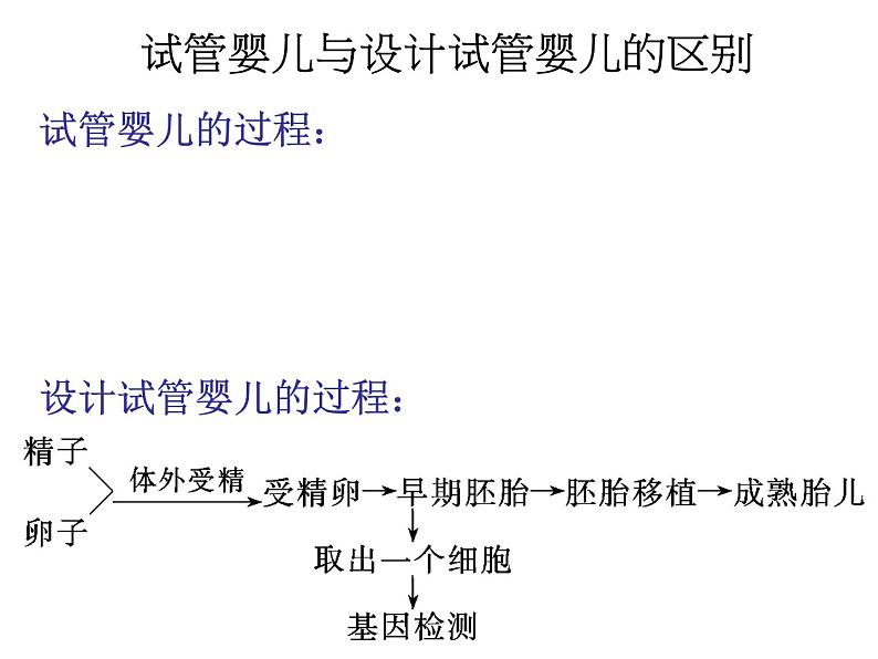 选修三4.2生物技术的安全性和伦理问题（共16张PPT）08