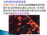 选修三4生物技术的安全性和伦理问题（共46张PPT）