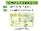 选修三5.2生态工程的实例和发展前景（共24张PPT）