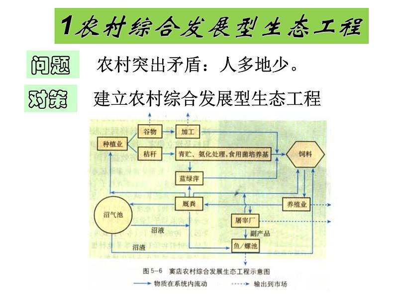 选修三5.2生态工程的实例和发展前景（共24张PPT）第3页