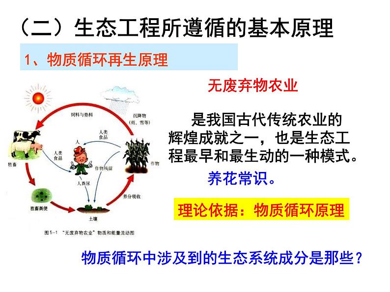 选修三5生态工程（共36张PPT）第5页