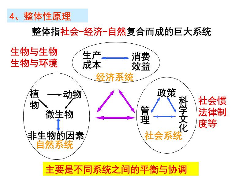 选修三5生态工程（共36张PPT）第8页