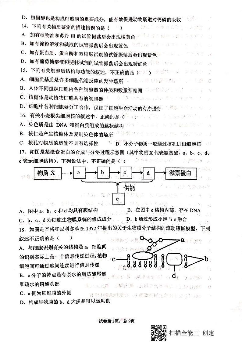2020-2021学年甘肃省天水市第一中学高一上学期期末考试生物试题 PDF版03