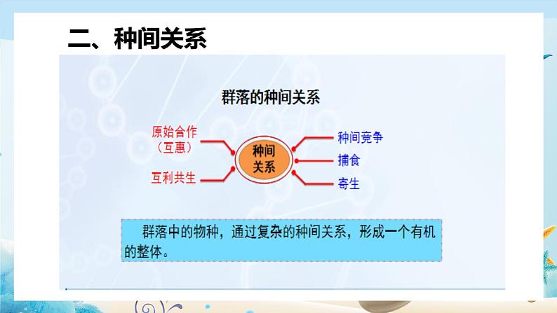 [人教版]生物选择性必修2 第2章第1节 群落的结构( 课件+教案)08