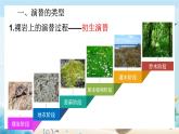 [人教版]生物選擇性必修2 第2章第3節(jié)群落的演替 ( 課件+教案)