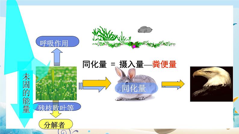 [人教版]生物选择性必修2 第三章第2节 生态系统的能量流动 (课件+教案)06