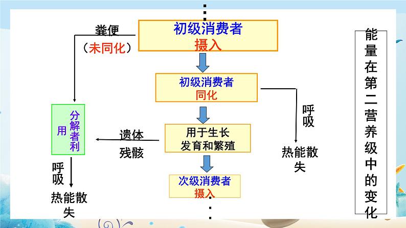 [人教版]生物选择性必修2 第三章第2节 生态系统的能量流动 (课件+教案)07