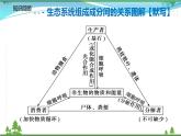 [人教版]生物选择性必修2  3.3生态系统的物质循环( 课件+教案)