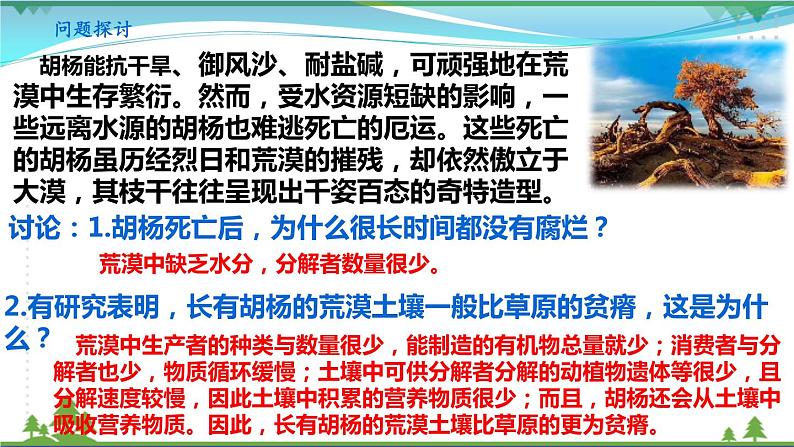 [人教版]生物选择性必修2  3.3生态系统的物质循环( 课件+教案)05