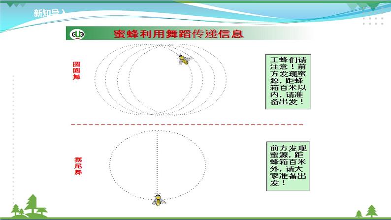 [人教版]生物选择性必修2  3.4生态系统的信息传递( 课件+教案)03