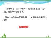 [人教版]生物选择性必修2  3.5生态系统的稳定性( 课件+教案)