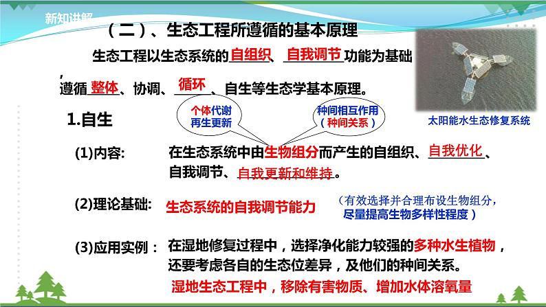 [人教版]生物选择性必修2  4.3生态工程 (课件+教案)06