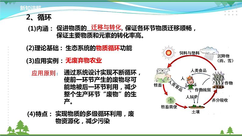 [人教版]生物选择性必修2  4.3生态工程 (课件+教案)08