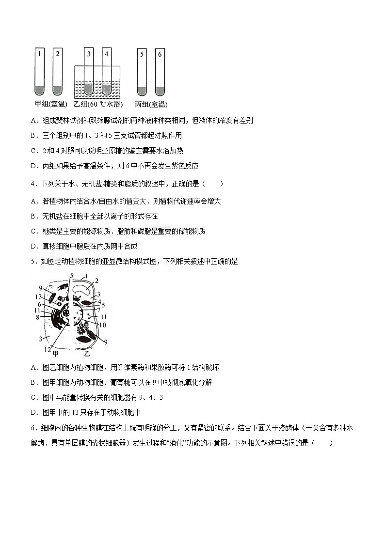 河南省名校联盟2020-2021学年高一下学期期末考试生物试题（含答案）02