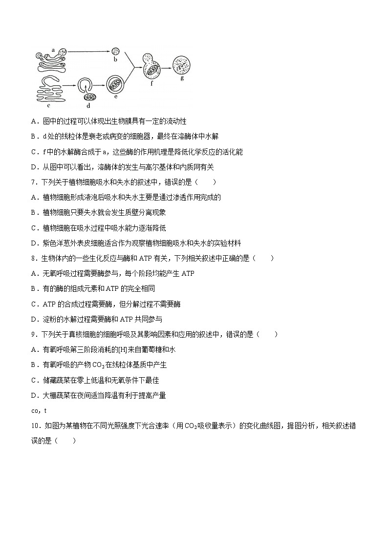 河南省名校联盟2020-2021学年高一下学期期末考试生物试题（含答案）03
