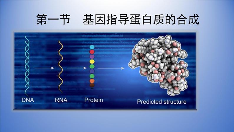 4.1基因指导蛋白质的合成课件2020-2021学年高一生物人教版必修二01