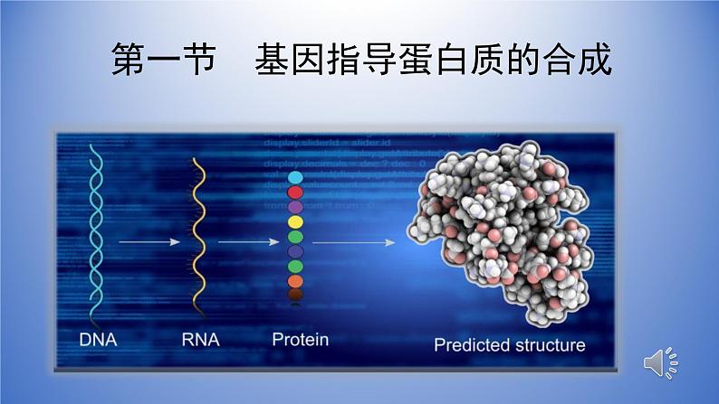 4.1基因指导蛋白质的合成课件2020-2021学年高一生物人教版必修二02