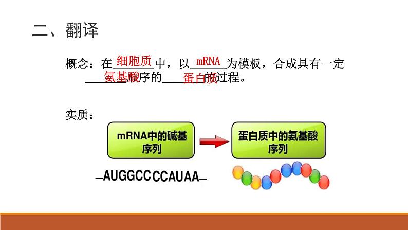 4.1基因指导蛋白质的合成课件2020-2021学年高一生物人教版必修二04