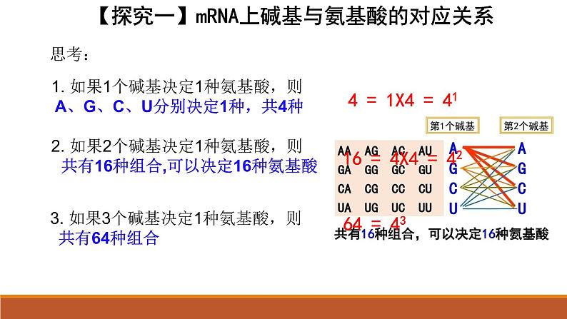 4.1基因指导蛋白质的合成课件2020-2021学年高一生物人教版必修二06