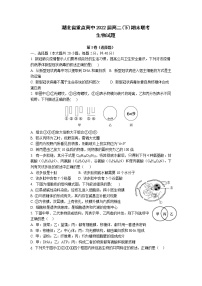 湖北省重点高中2020-2021学年高二下学期 期末联考生物试卷（含答案）