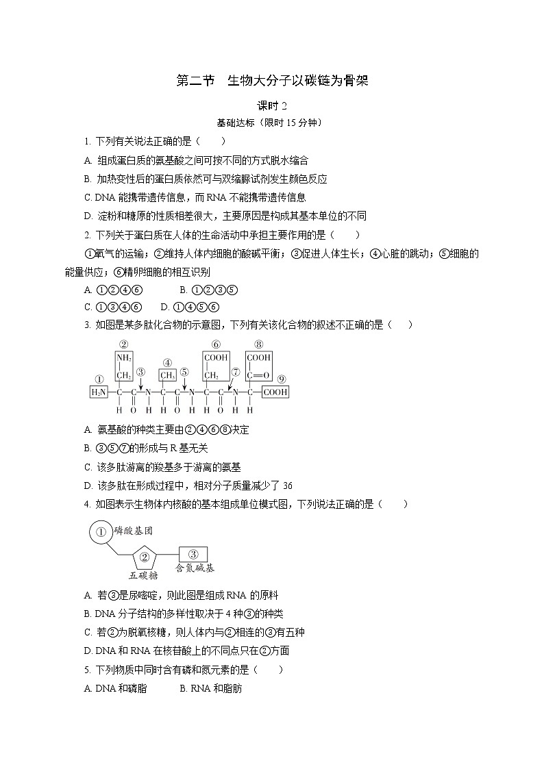 1.2  生物大分子以碳链为骨架 (2)  课后作业 【新教材】浙科版（2019）高中生物必修一01