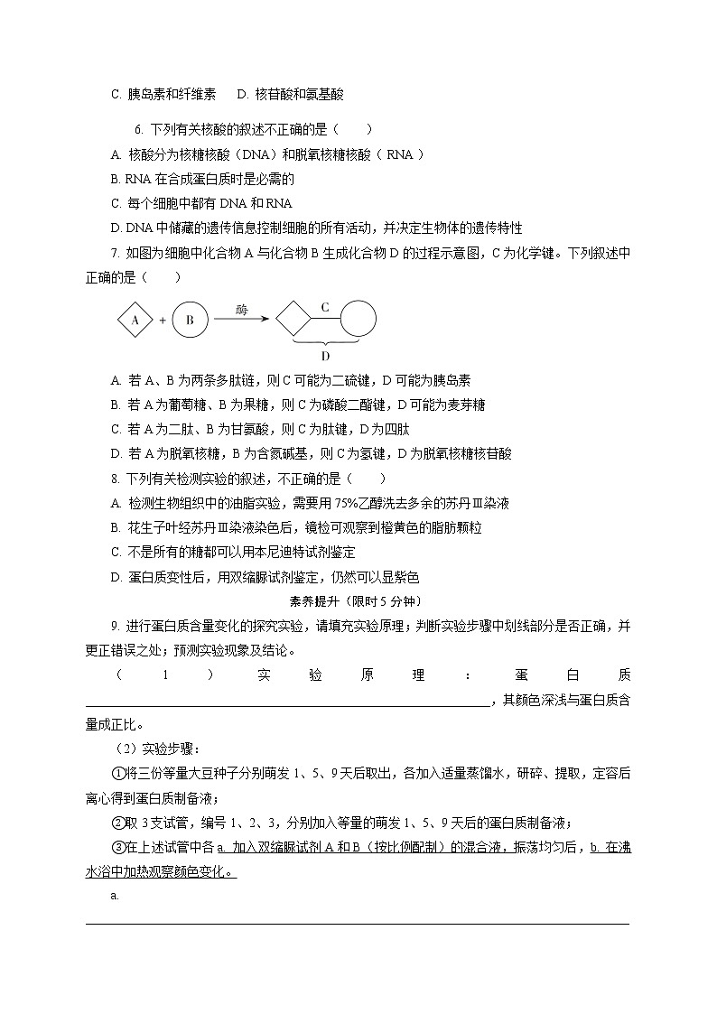 1.2  生物大分子以碳链为骨架 (2)  课后作业 【新教材】浙科版（2019）高中生物必修一02