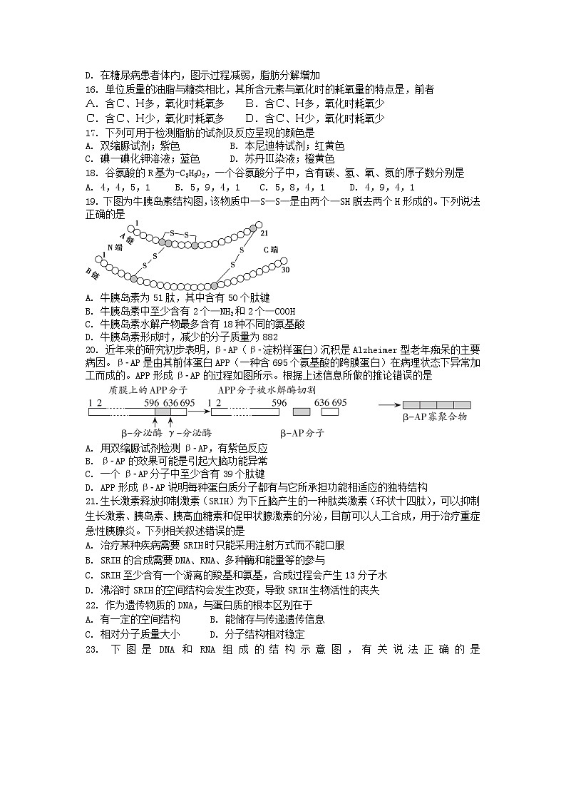 期末备考 阶段检测（一） 单元检测【新教材】浙科版（2019）高中生物必修一03