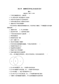 高中生物浙科版 (2019)必修1《分子与细胞》第三节 细胞质是多项生命活动的场所精品课后作业题