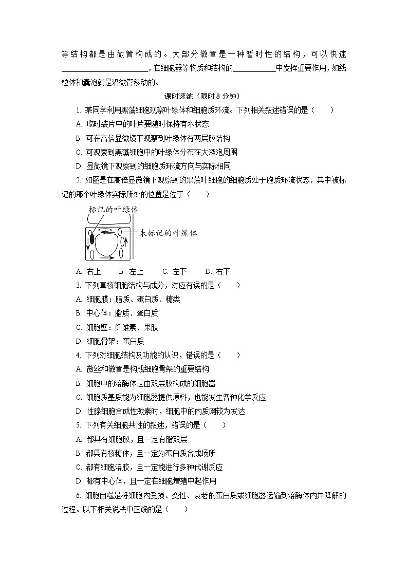 2.3.2 细胞质是多项生命活动的场所 随堂作业【新教材】浙科版（2019）高中生物必修一 试卷练习02