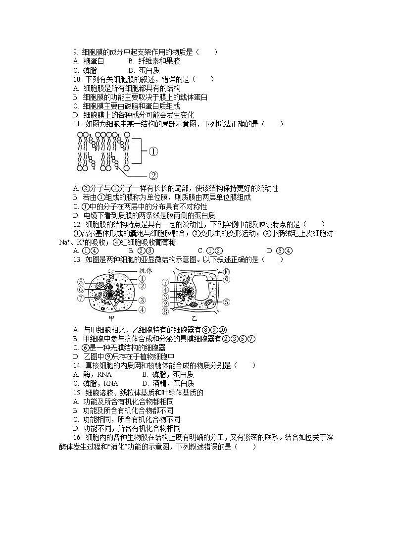 期末备考 阶段检测（二） 单元检测【新教材】浙科版（2019）高中生物必修一02