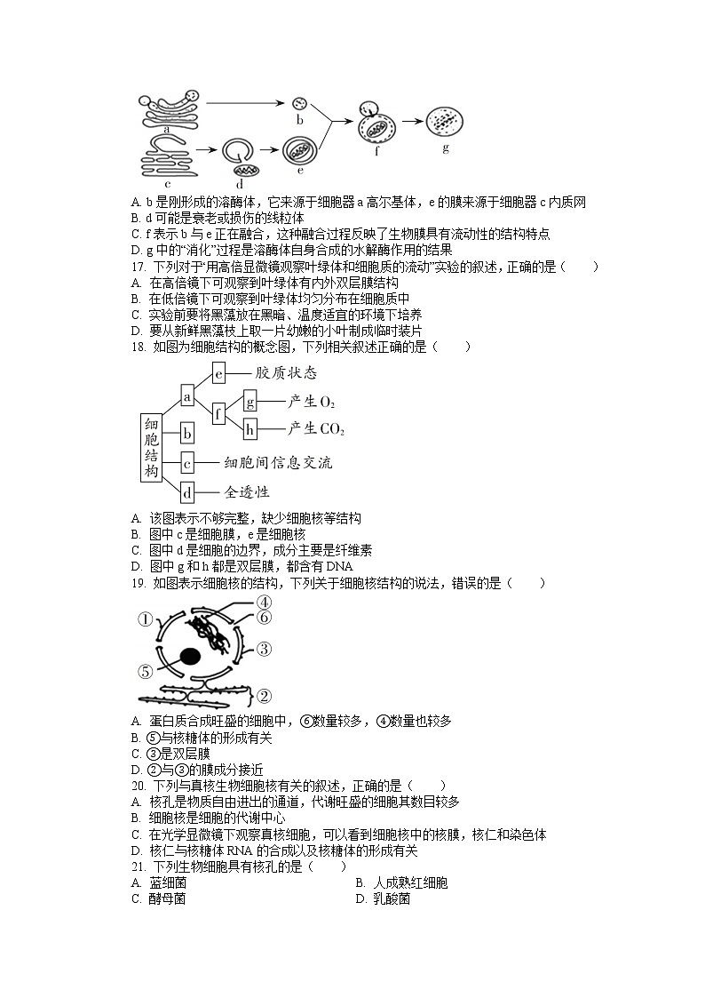 期末备考 阶段检测（二） 单元检测【新教材】浙科版（2019）高中生物必修一03