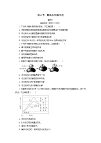 高中生物浙科版 (2019)必修1《分子与细胞》第三章 细胞的代谢第二节 酶是生物催化剂精品巩固练习