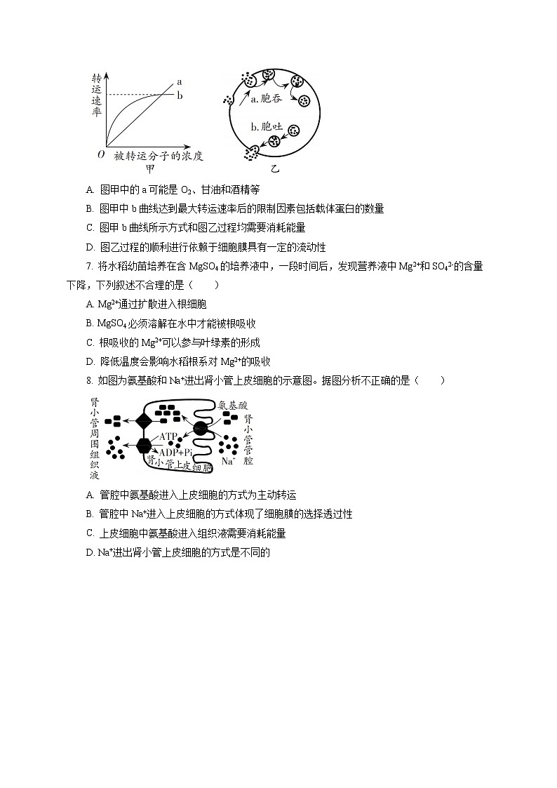 3.3  物质通过多种方式出入细胞 课后作业 【新教材】浙科版（2019）高中生物必修一02
