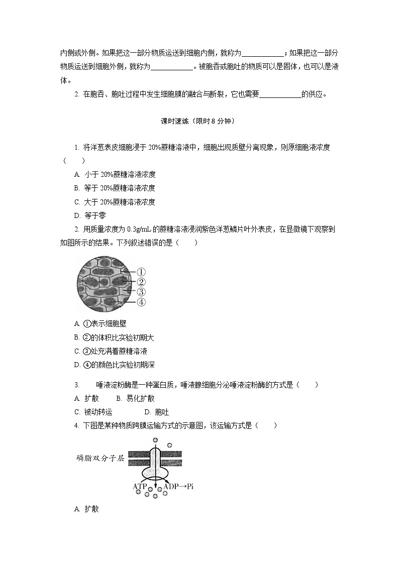 3.3 物质通过多种方式出入细胞 随堂作业【新教材】浙科版（2019）高中生物必修一第2页