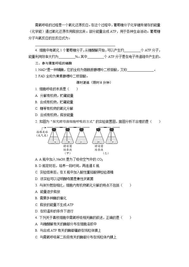 3.4.1 细胞呼吸为细胞生活提供能量 随堂作业【新教材】浙科版（2019）高中生物必修一 试卷练习02