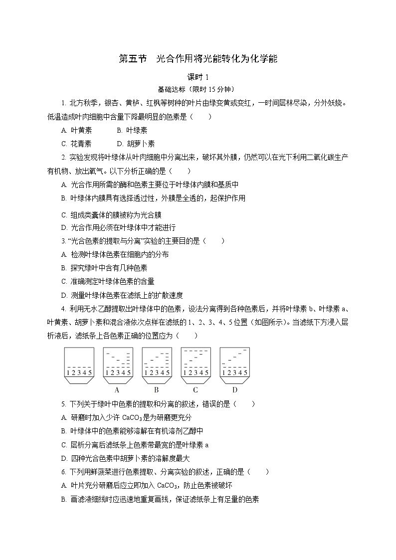 3.5  光合作用将光能转化为化学能1 课后作业 【新教材】浙科版（2019）高中生物必修一01